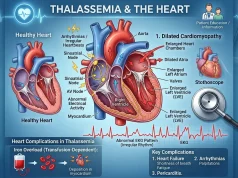 Heart Complications Thalassemia: Risks, Signs, and Care Heart Complications Thalassemia